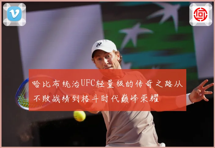 哈比布统治UFC轻量级的传奇之路从不败战绩到格斗时代巅峰荣耀