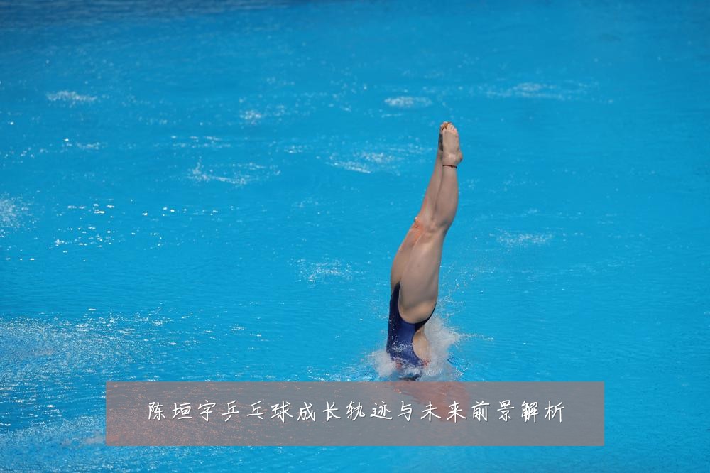 陈垣宇乒乓球成长轨迹与未来前景解析