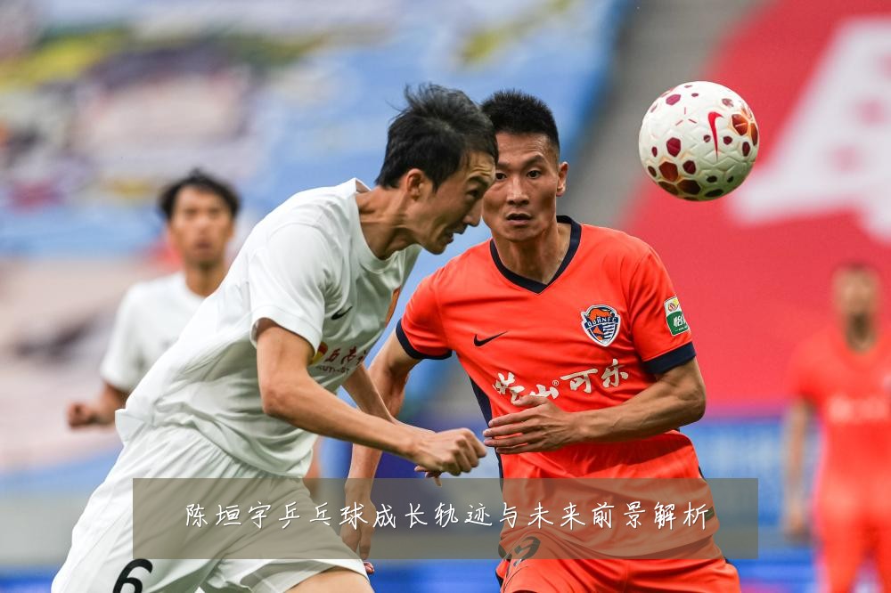 陈垣宇乒乓球成长轨迹与未来前景解析
