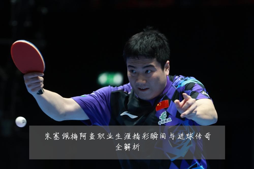 朱塞佩梅阿查职业生涯精彩瞬间与进球传奇全解析